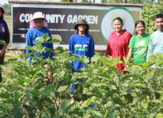 Former TUPAD Beneficiaries In Calapan City Now Agri-Entrepreneurs